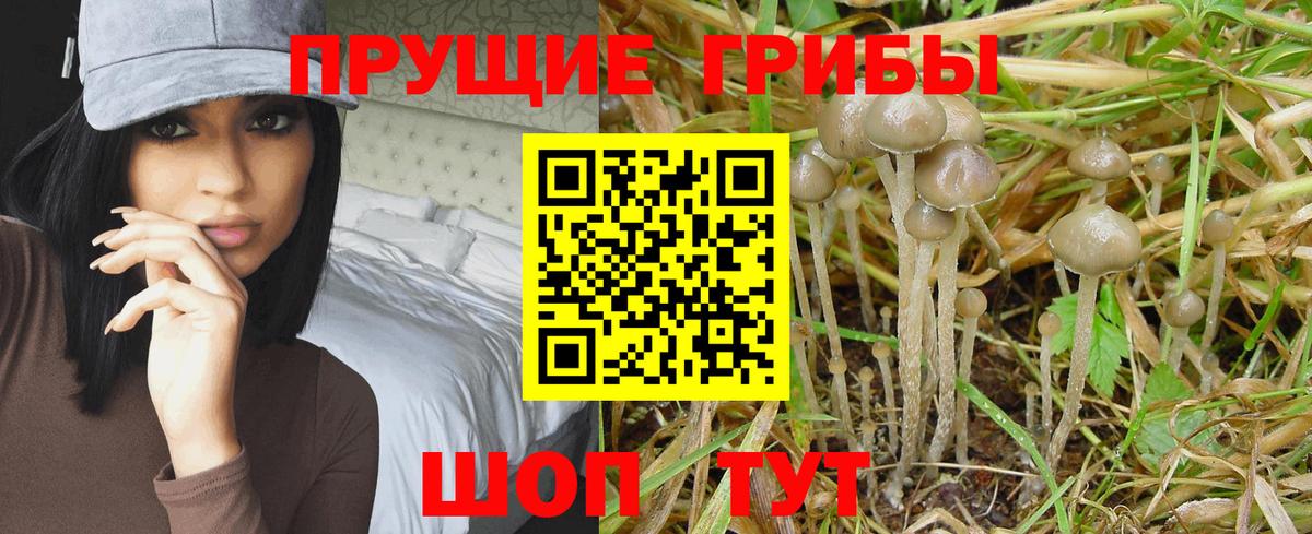 Псилоцибиновые грибы Magic Shrooms Красный Сулин