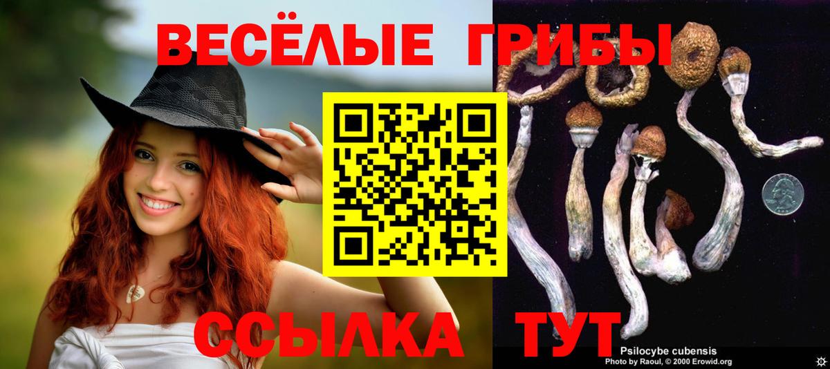 Галлюциногенные грибы мицелий  Псилоцибиновые грибы мицелий  Красный Сулин  Вход с VPN 